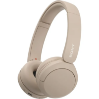 Sony WH-CH520_1